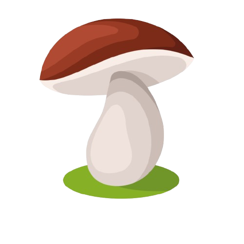 cutemushroom.png<br />

